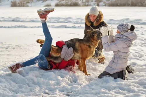 Kinder und ein Hund, die fröhlich im Schnee in der Nähe des TOP Hotels Hochgurgl spielen.