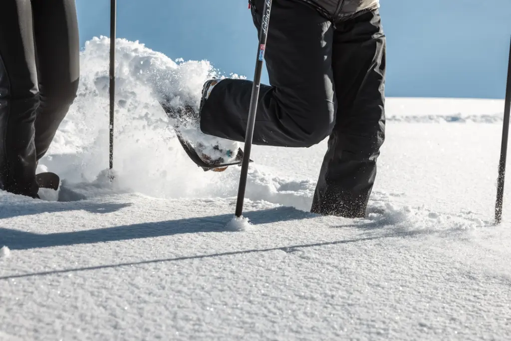 Winter Hiking